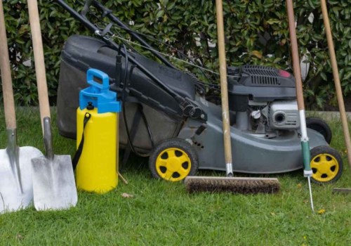 Lawn Care Products for Maintaining Grass During Bounce House Rental Use